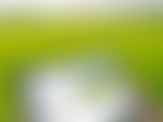 Complete Guide to Akarband Documents in Karnataka | ZonaMap.in