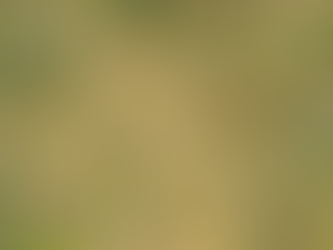 Bhu Naksha Rajasthan 2025: with https://app.zonamap.in | https://bhunaksha.rajasthan.gov.in | https://apnakhata.rajasthan.gov.in/