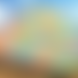 Bhu Naksha Rajasthan: Your Ultimate Guide to Viewing Land Maps Online in 2025