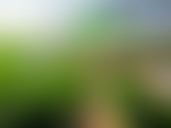 हरियाणा भू नक्शा 2025: ऑनलाइन जमीन नक्शा और रिकॉर्ड्स की संपूर्ण गाइड