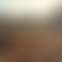 Navigating Property Ownership Rights in Haryana Insights for 2025