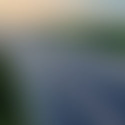 Delhi to Jaipur Expressway: New Bandikui Link to Slash Travel Time to 2.5 Hours by June 2025