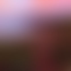 What is NeuroAffective Touch®