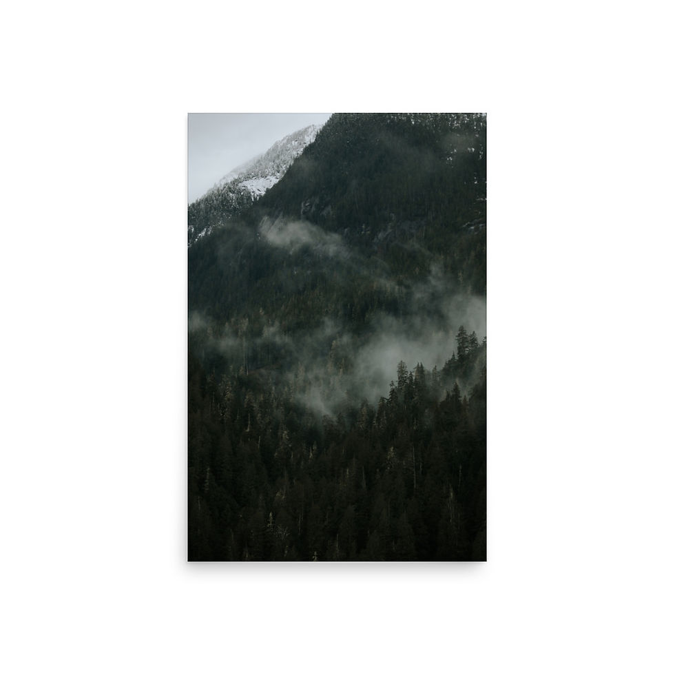 Coastal Winter in Kingcome Inlet