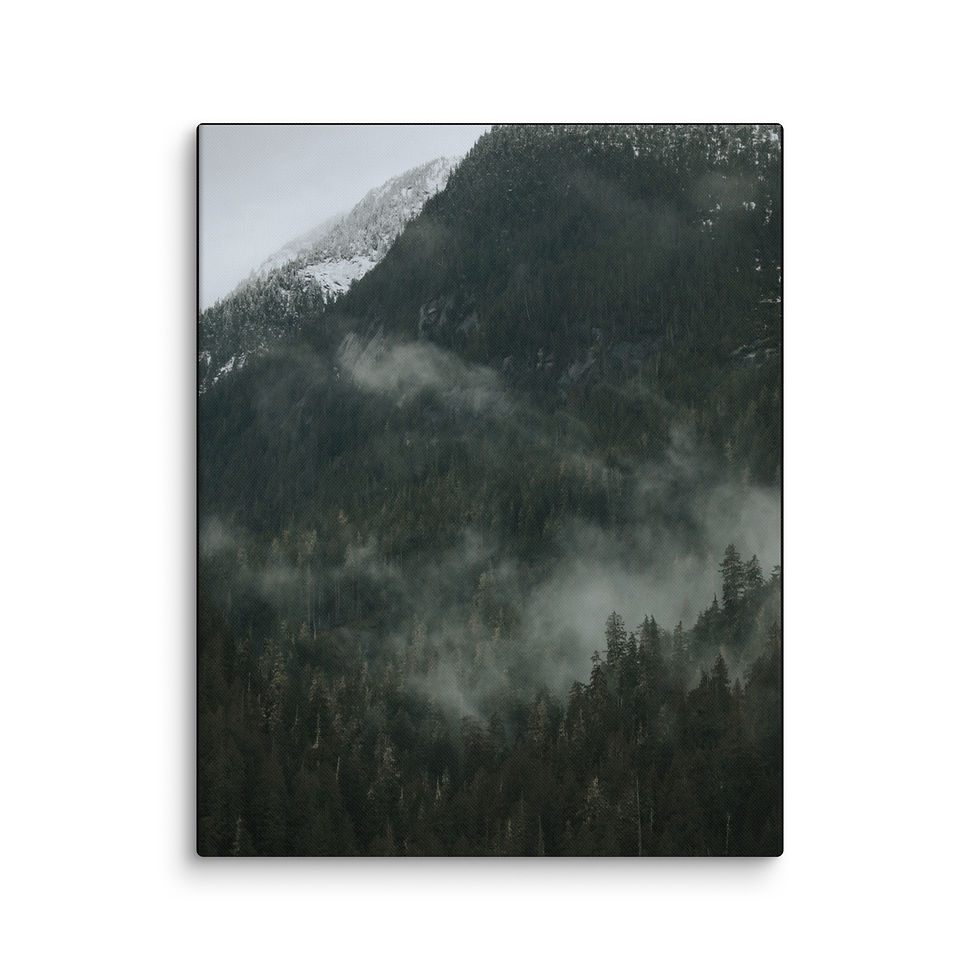 Coastal Winter in Kingcome Inlet - Canvas