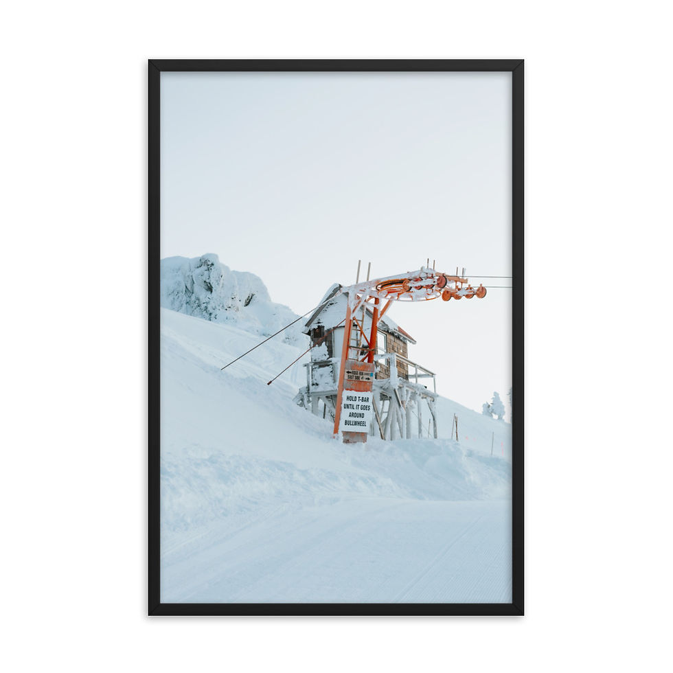 L4 Bullwheel Mount Cain - Framed