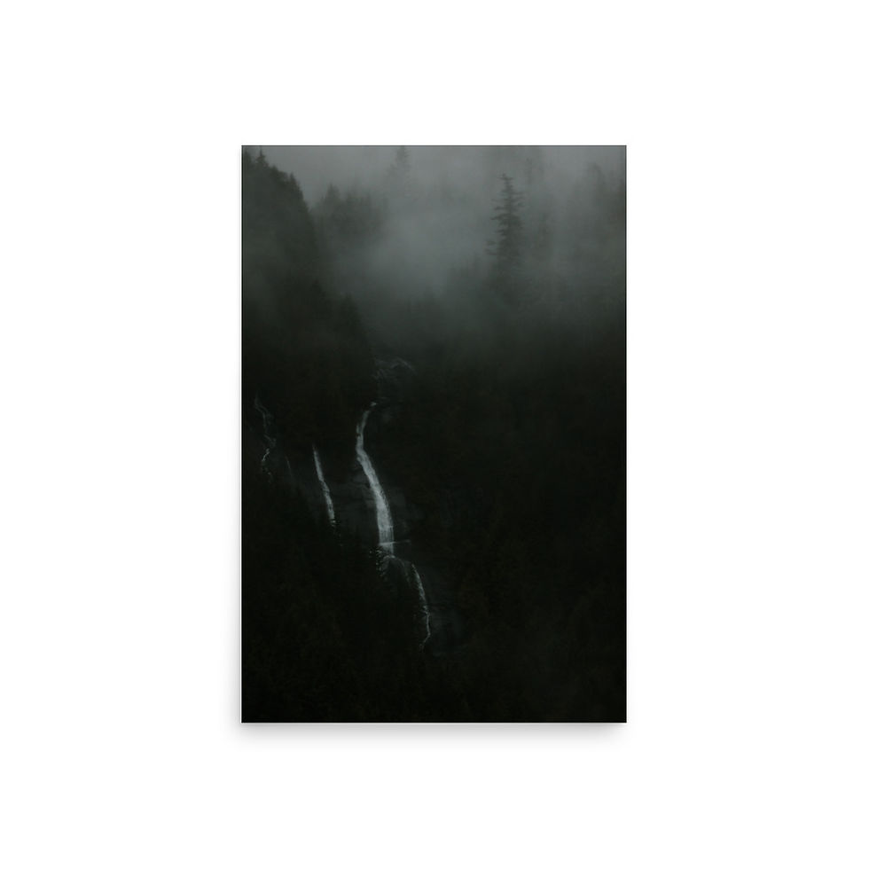 Misty Morning Kingcome Inlet