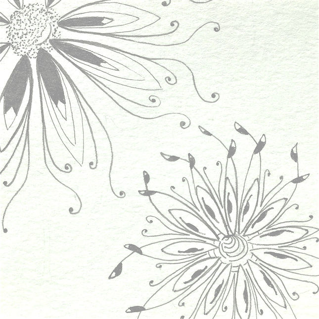 IMG-0613_edited.jpg