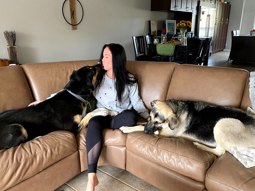 Jen sits on the couch with two dogs, one is Fynn.
