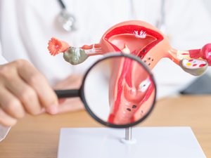 Médico segura lupa à frente de modelo de útero