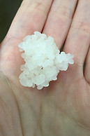 Sake: Steamed Rice