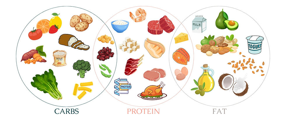 In this comprehensive guide, we will explore the world of macros, break down their importance, and equip you with the knowledge and tools.