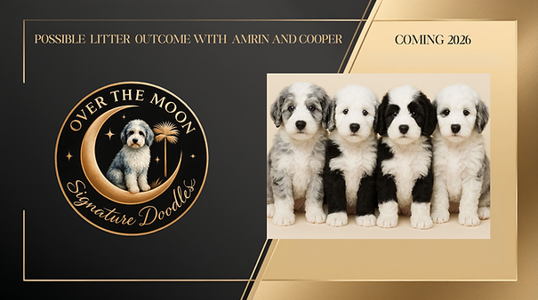 Predicted puppy litter