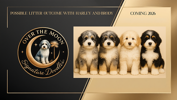 Predited puppy litter