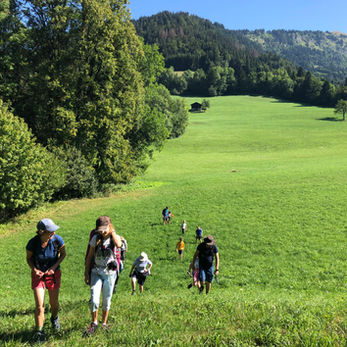 Lush Field Family Walk