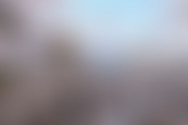 VINOROSSOAMMARE, CON GOCCIA A MARE E OSTERIA VINO ROSSO TORNA LA CENA A CURA DI OPERA CHEF