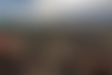 NATALE SUI CANALI SOCIAL DEL PARCO ARCHEOLOGICO DI ERCOLANO