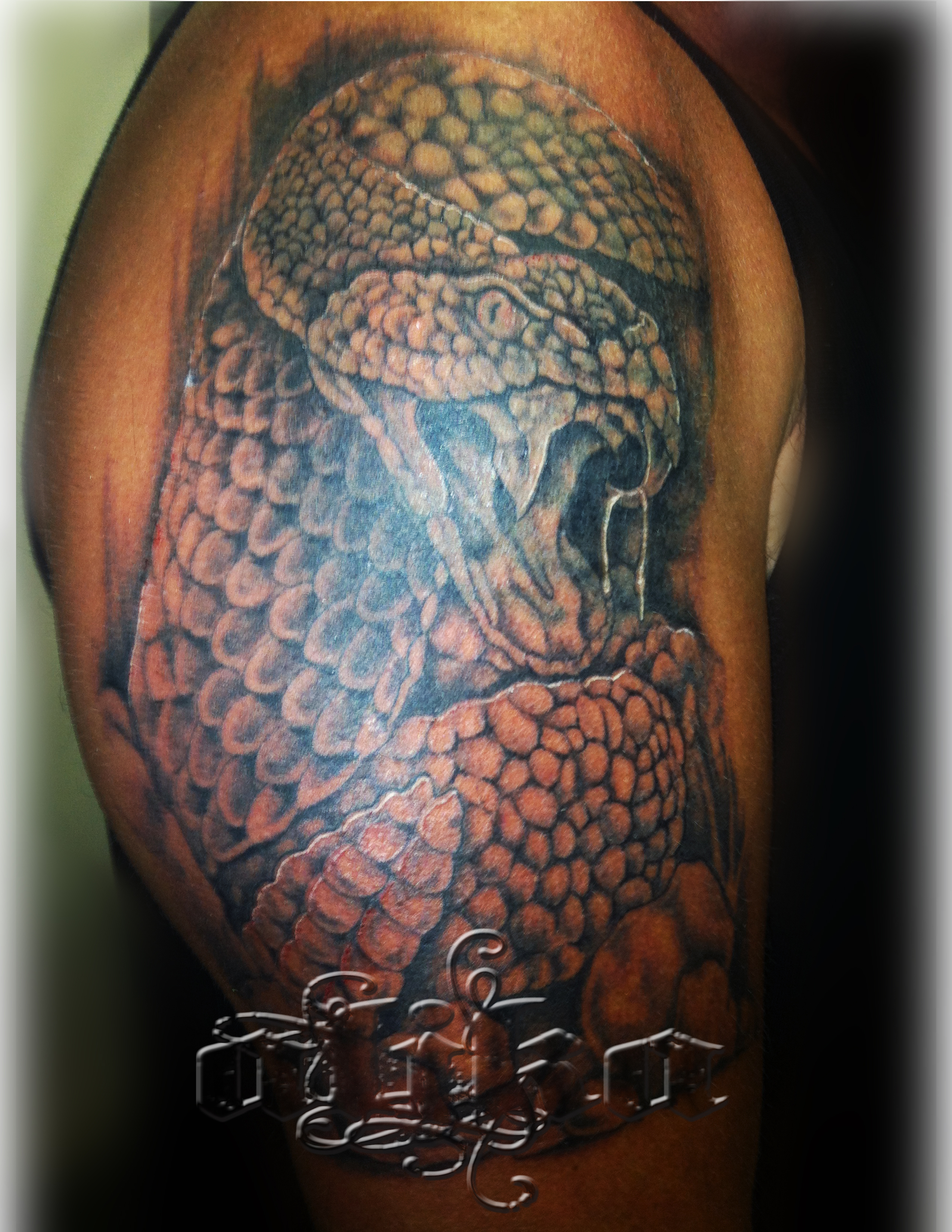 rattlesnake
