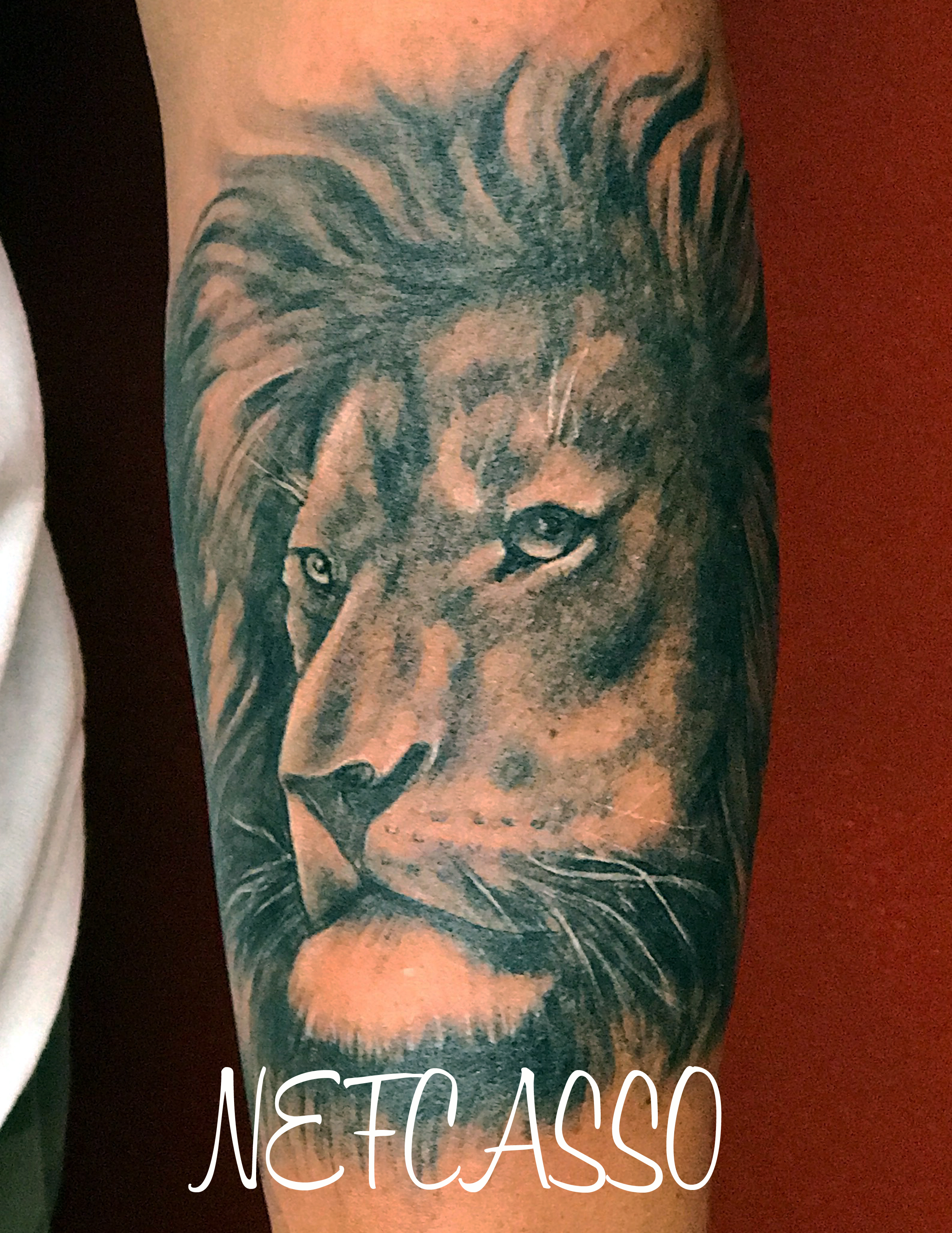 Lion
