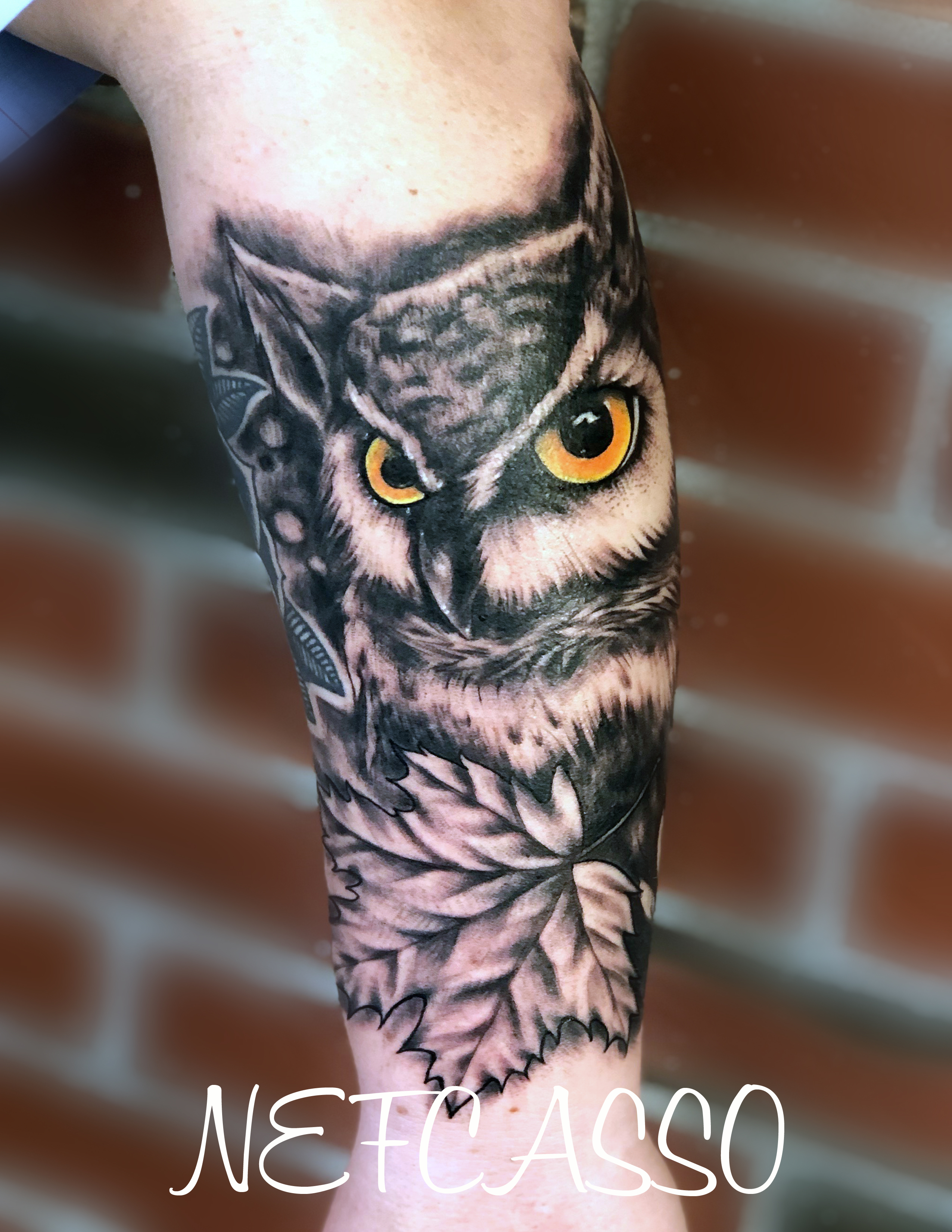Owl leaf