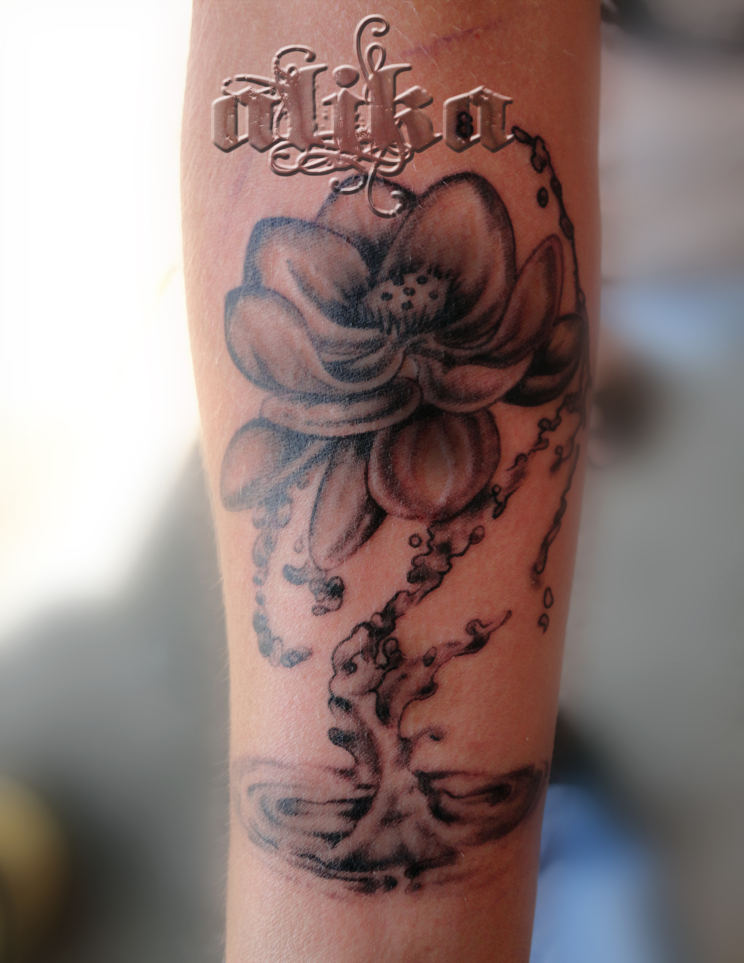 Lotus