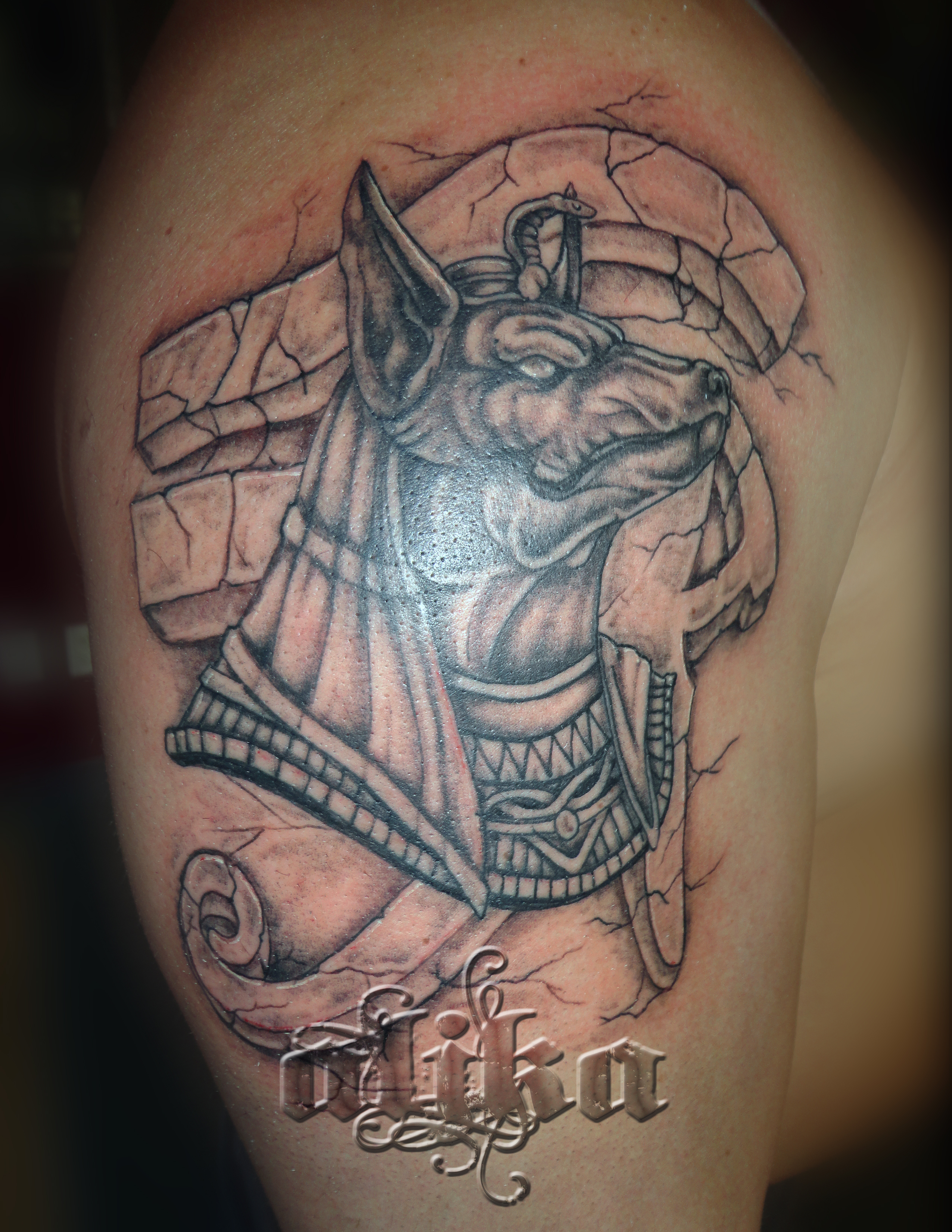 anubis