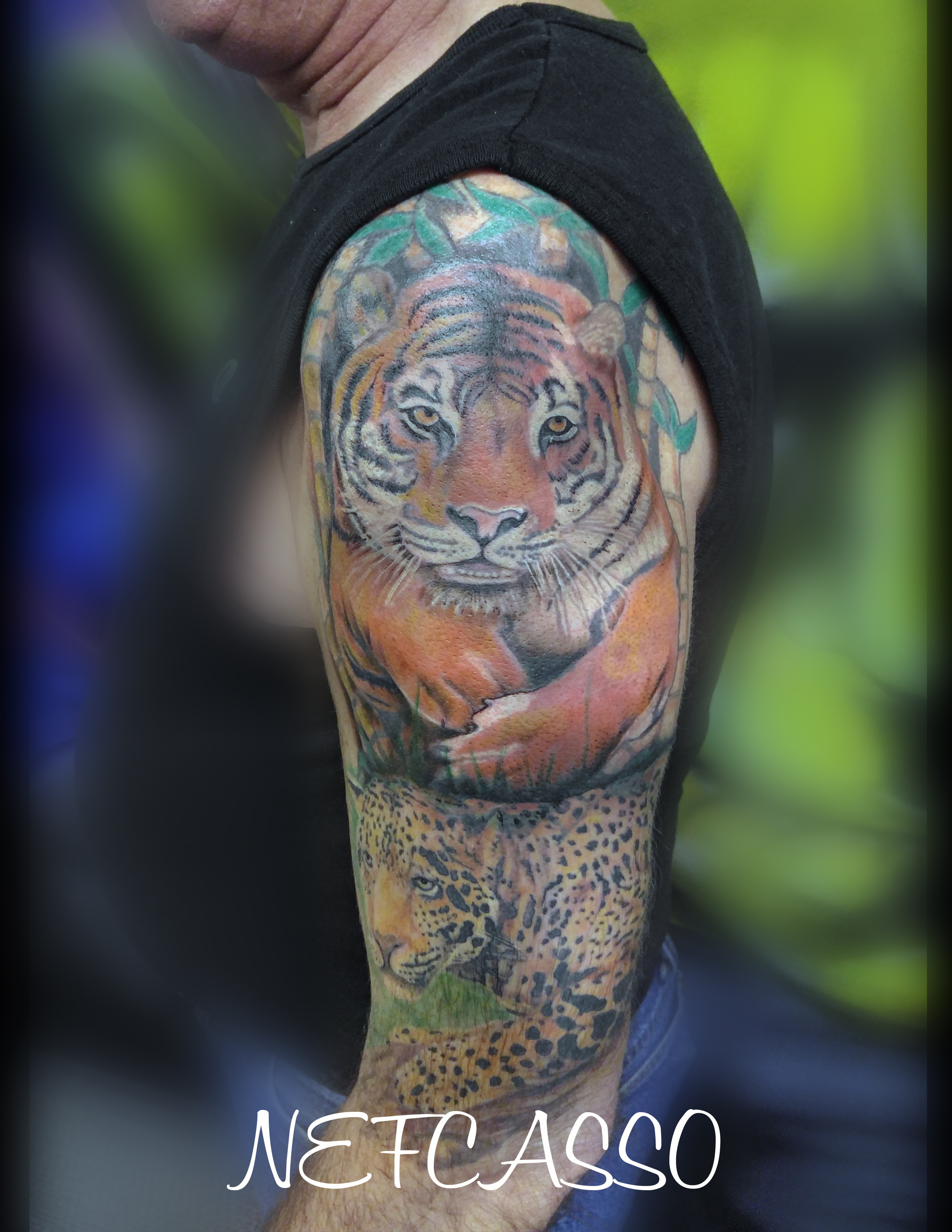 Tiger