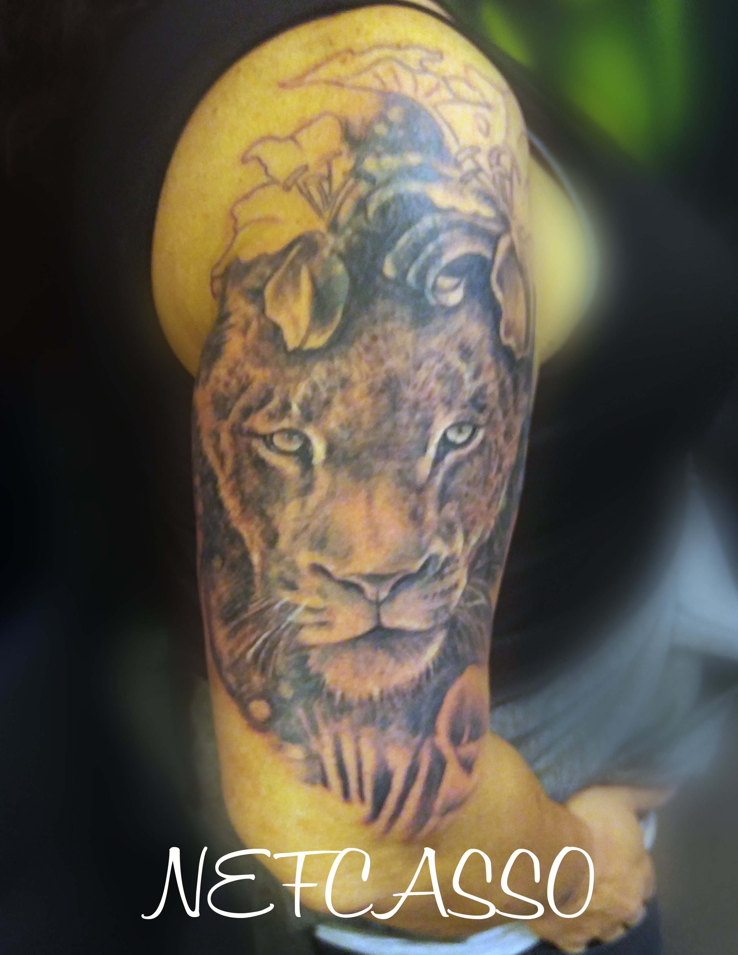 Lion Sleeve