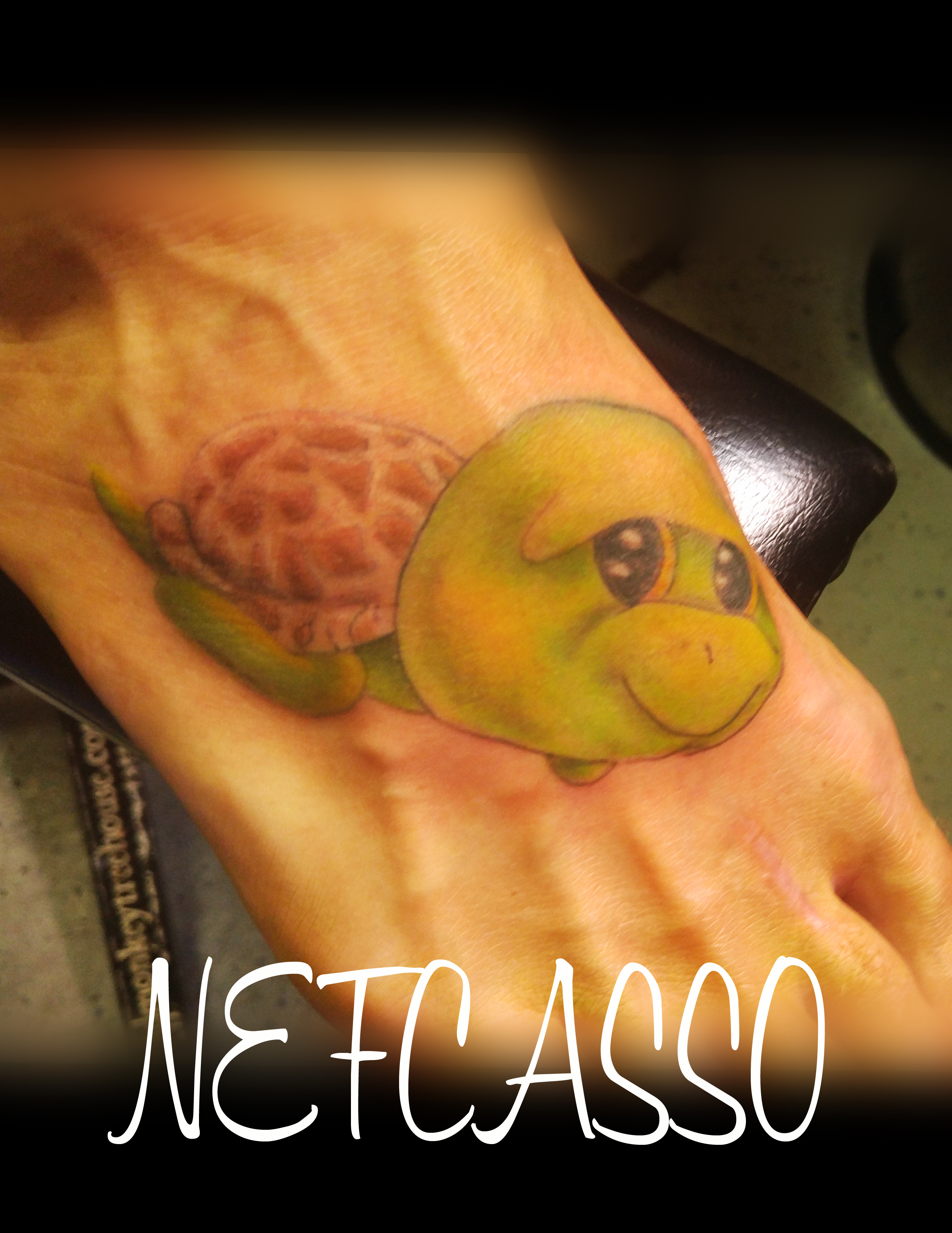 Turtle