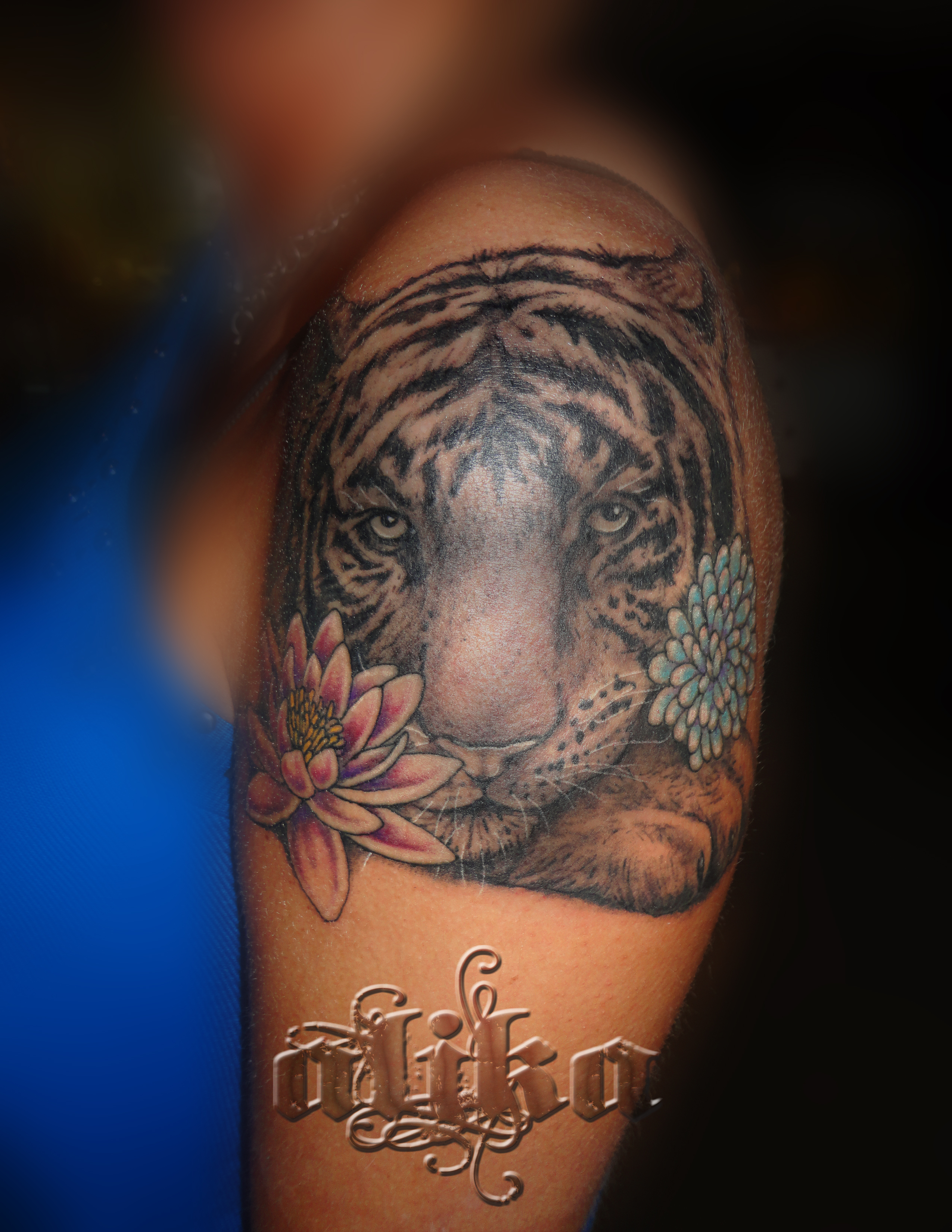 Tiger