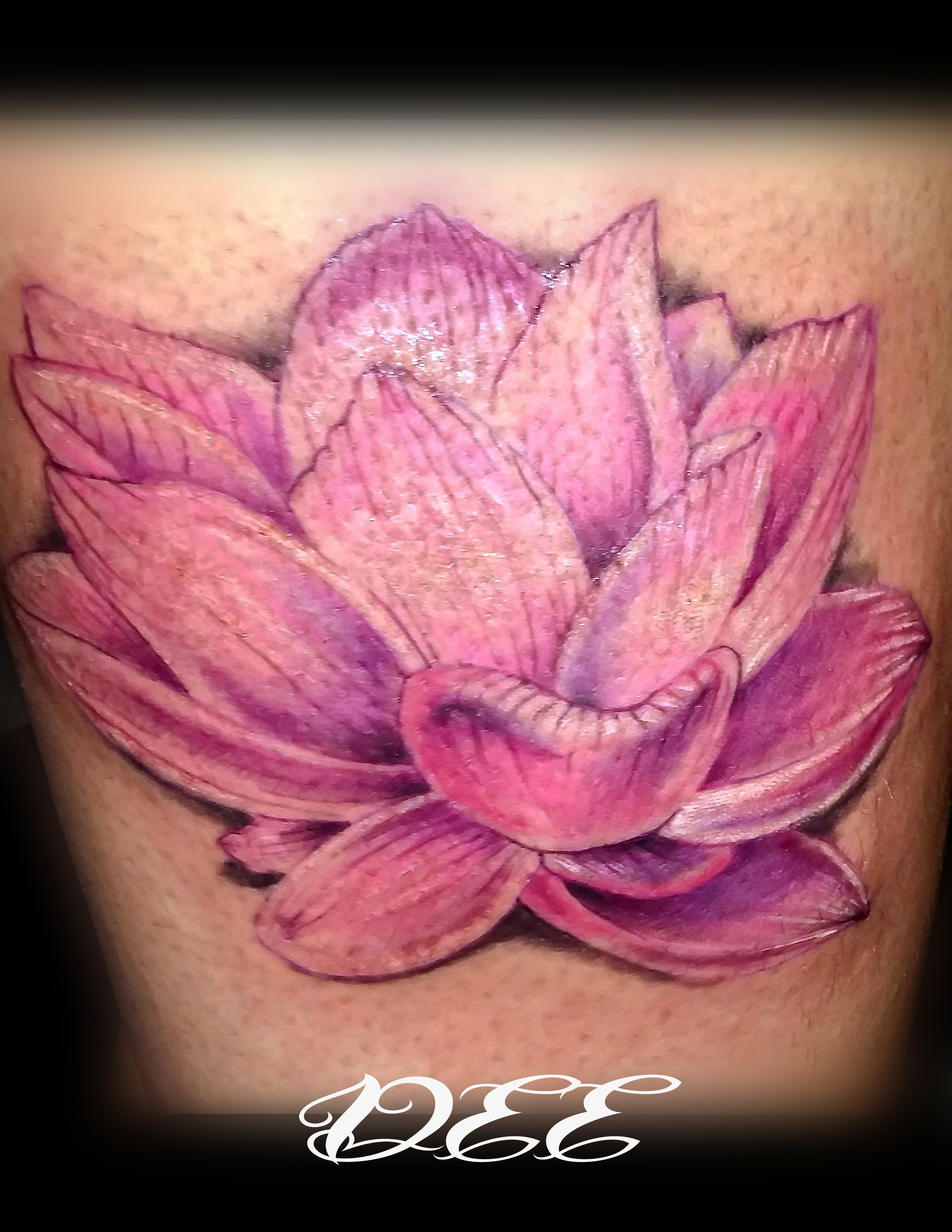 Lotus