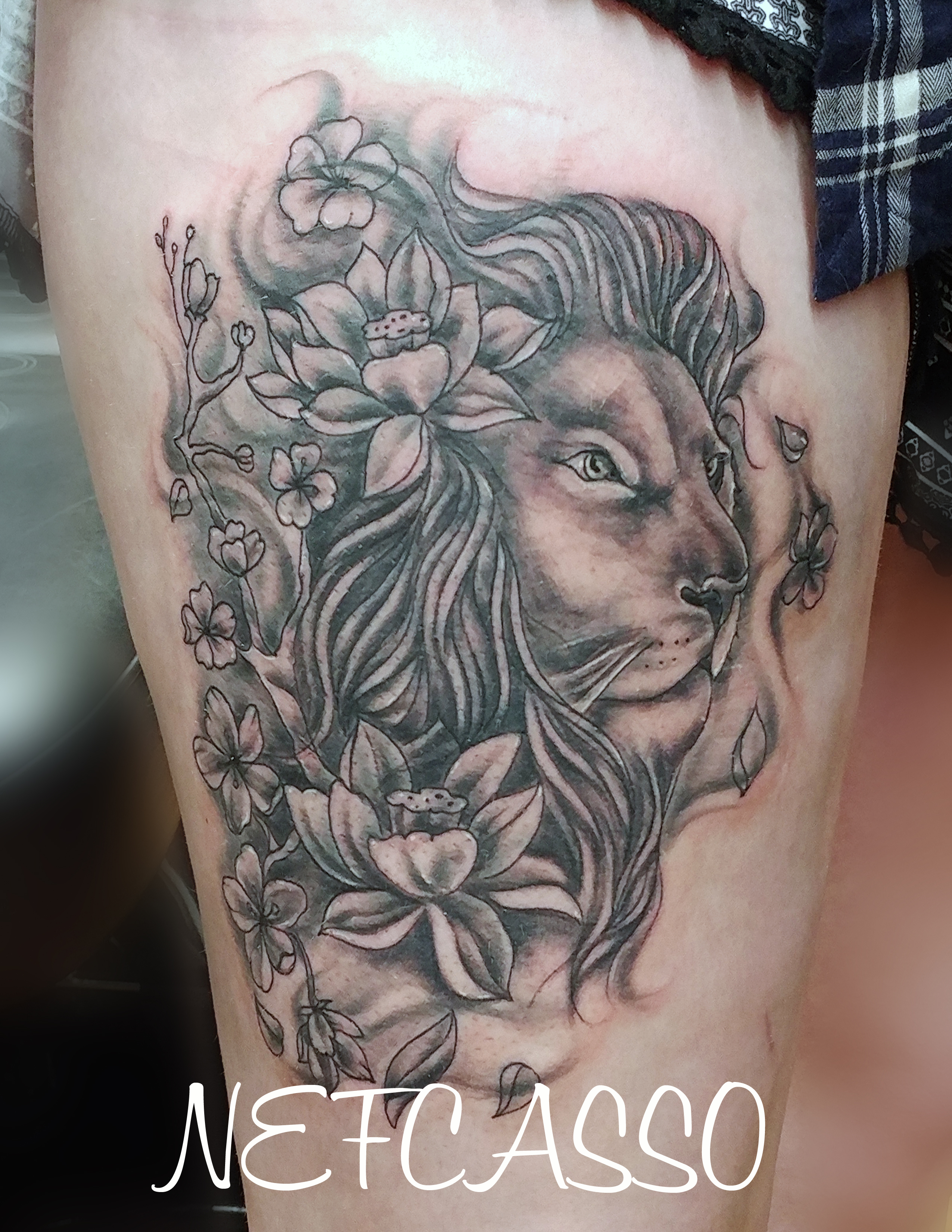 Lion flower