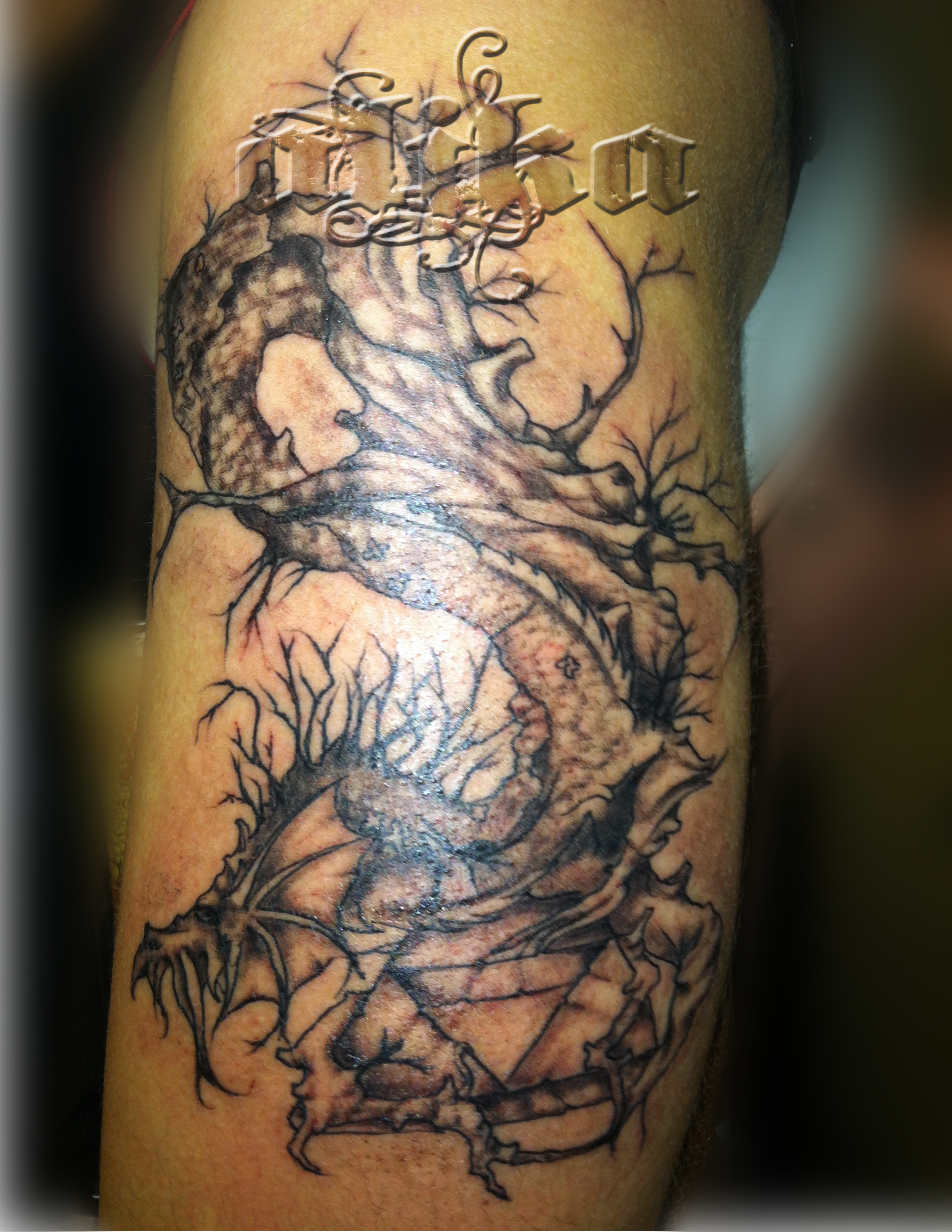 Dragontree