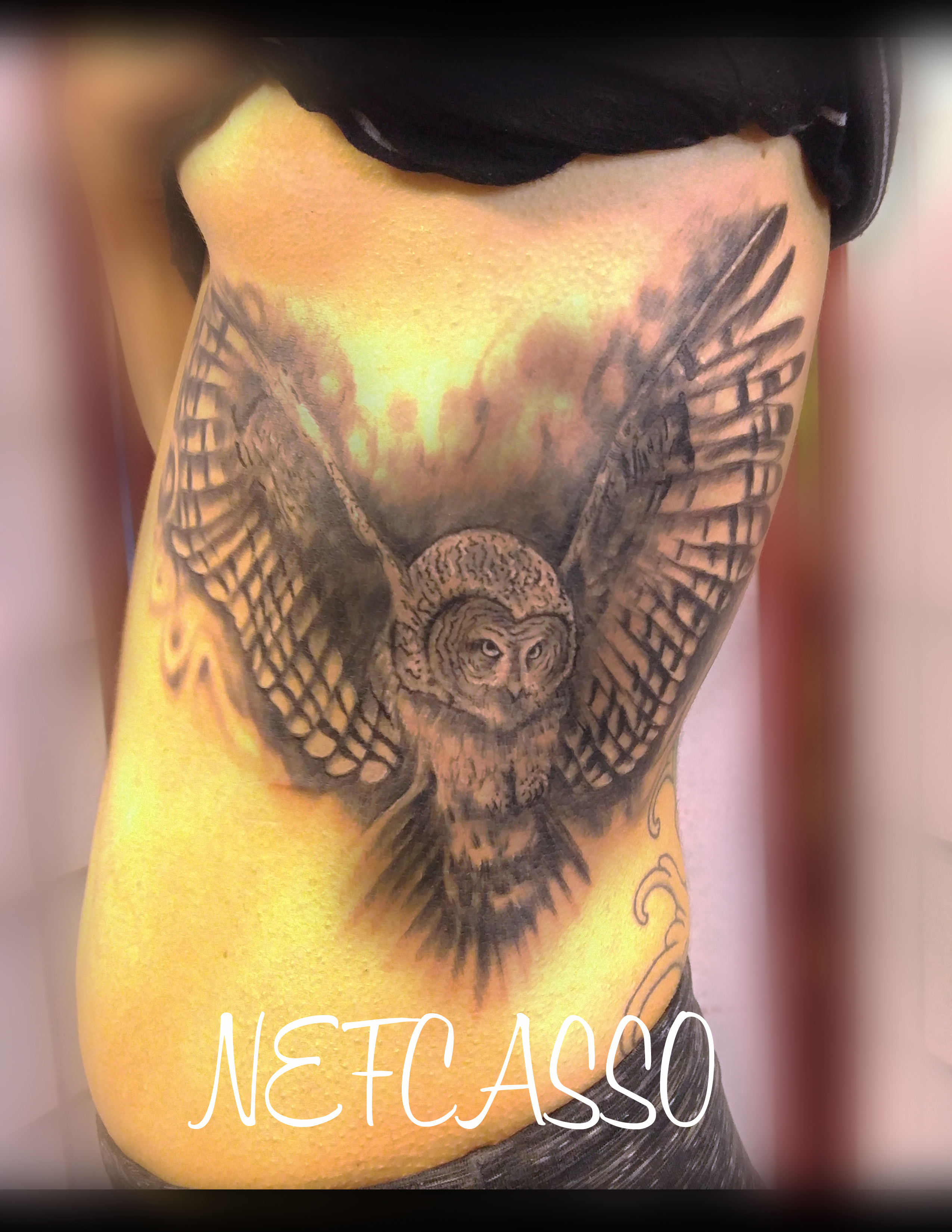 Owl