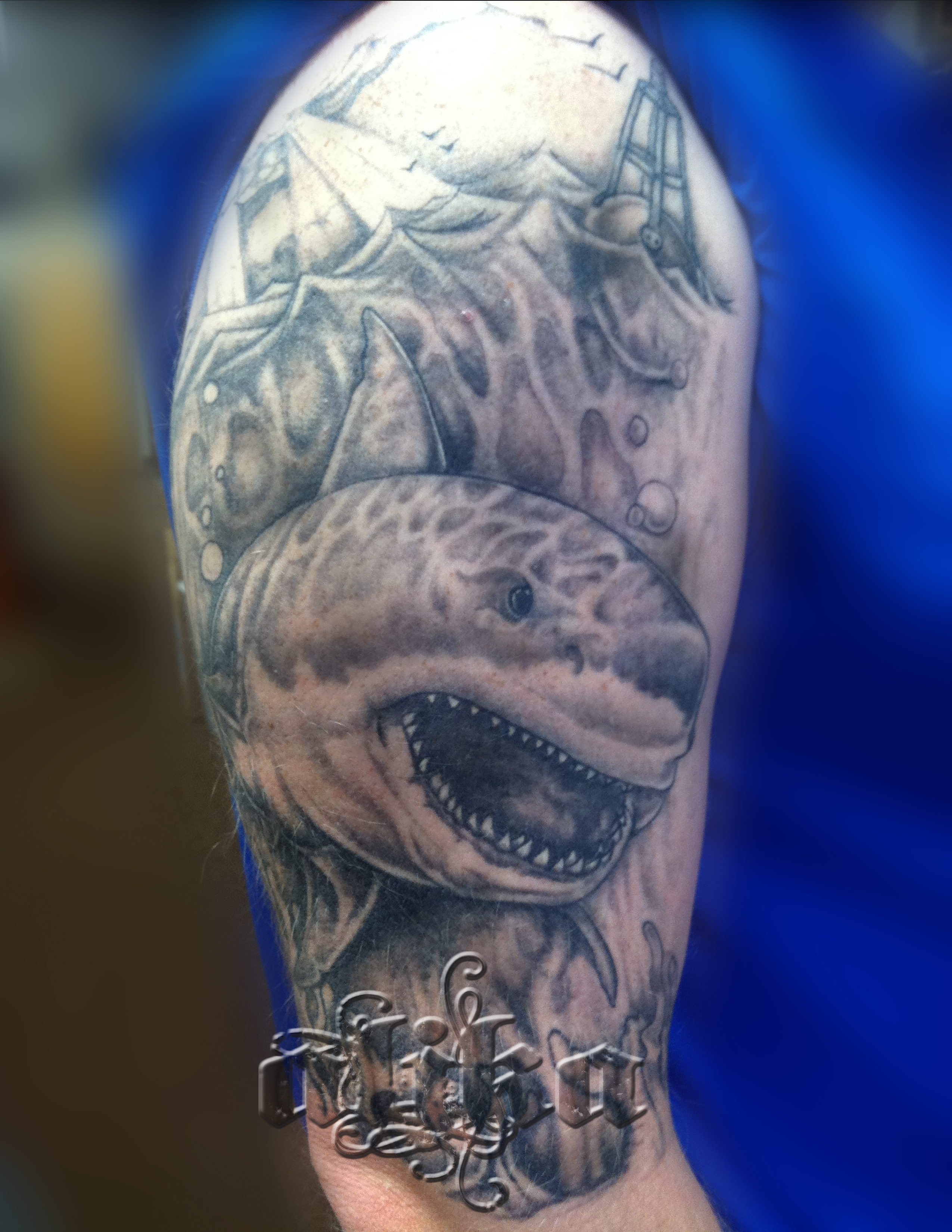 Shark