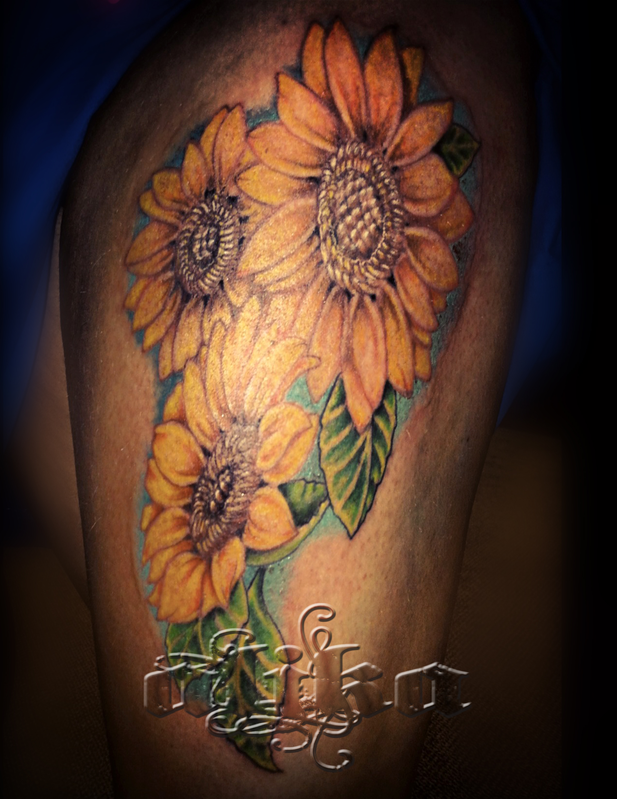 sunflowers