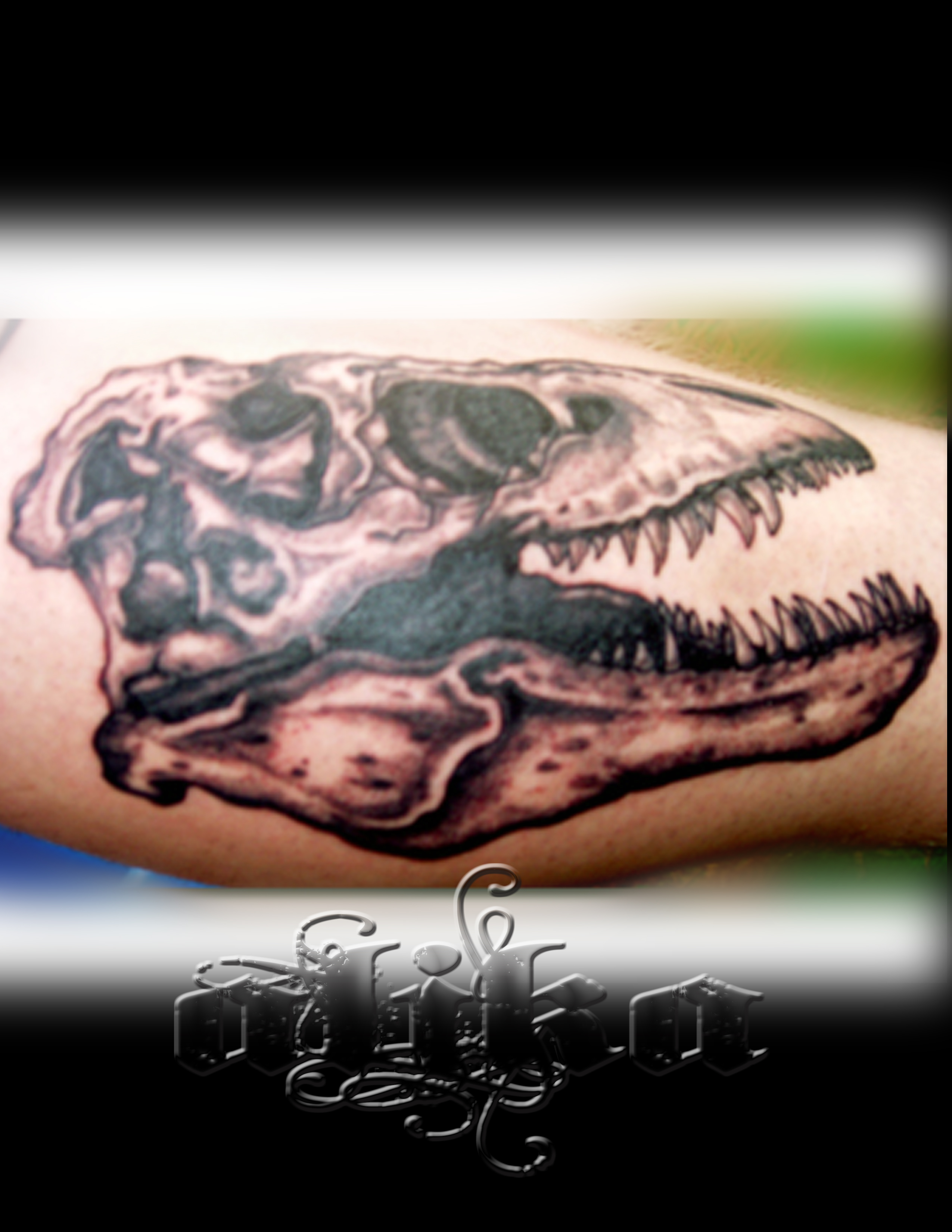 Trex