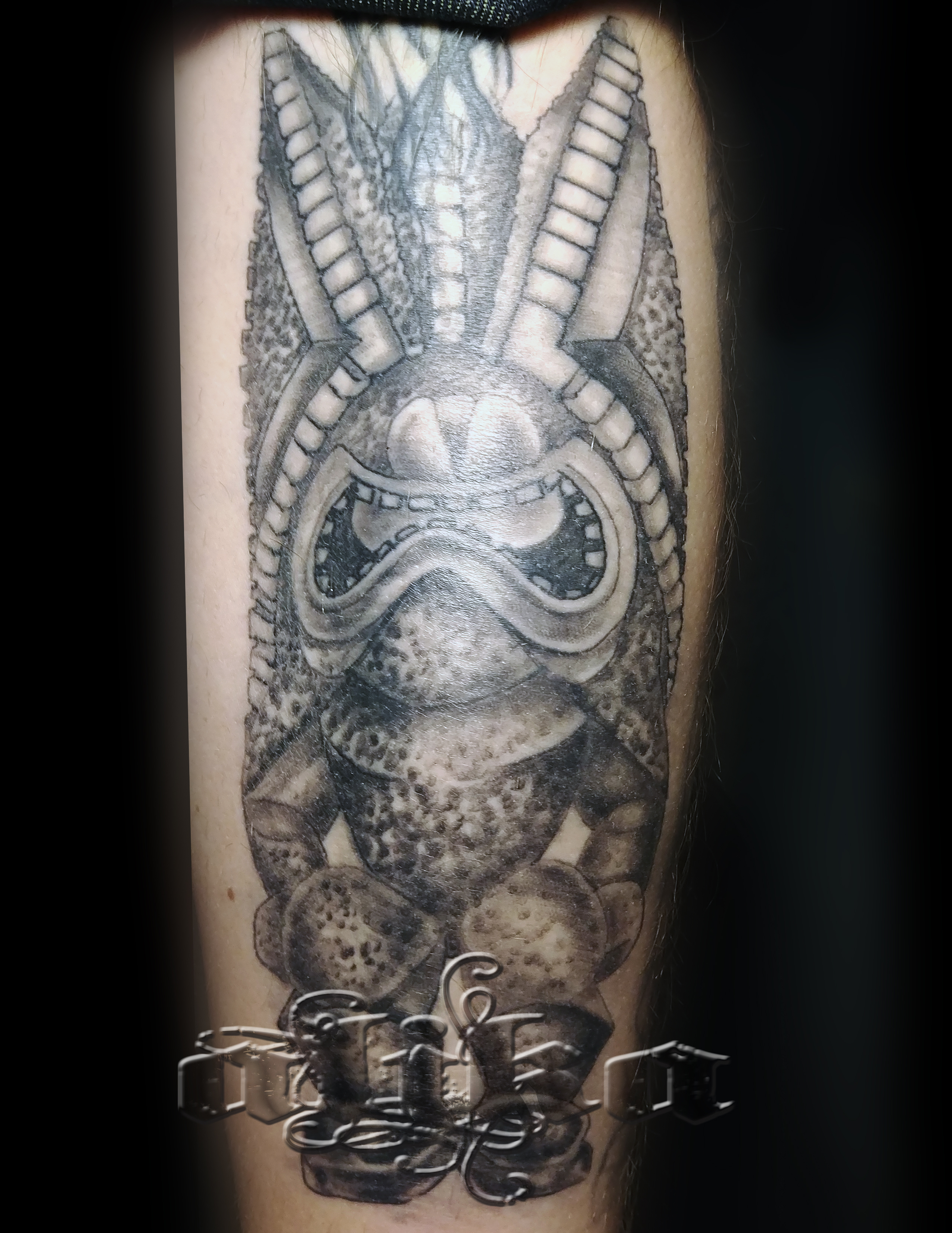 Tiki2