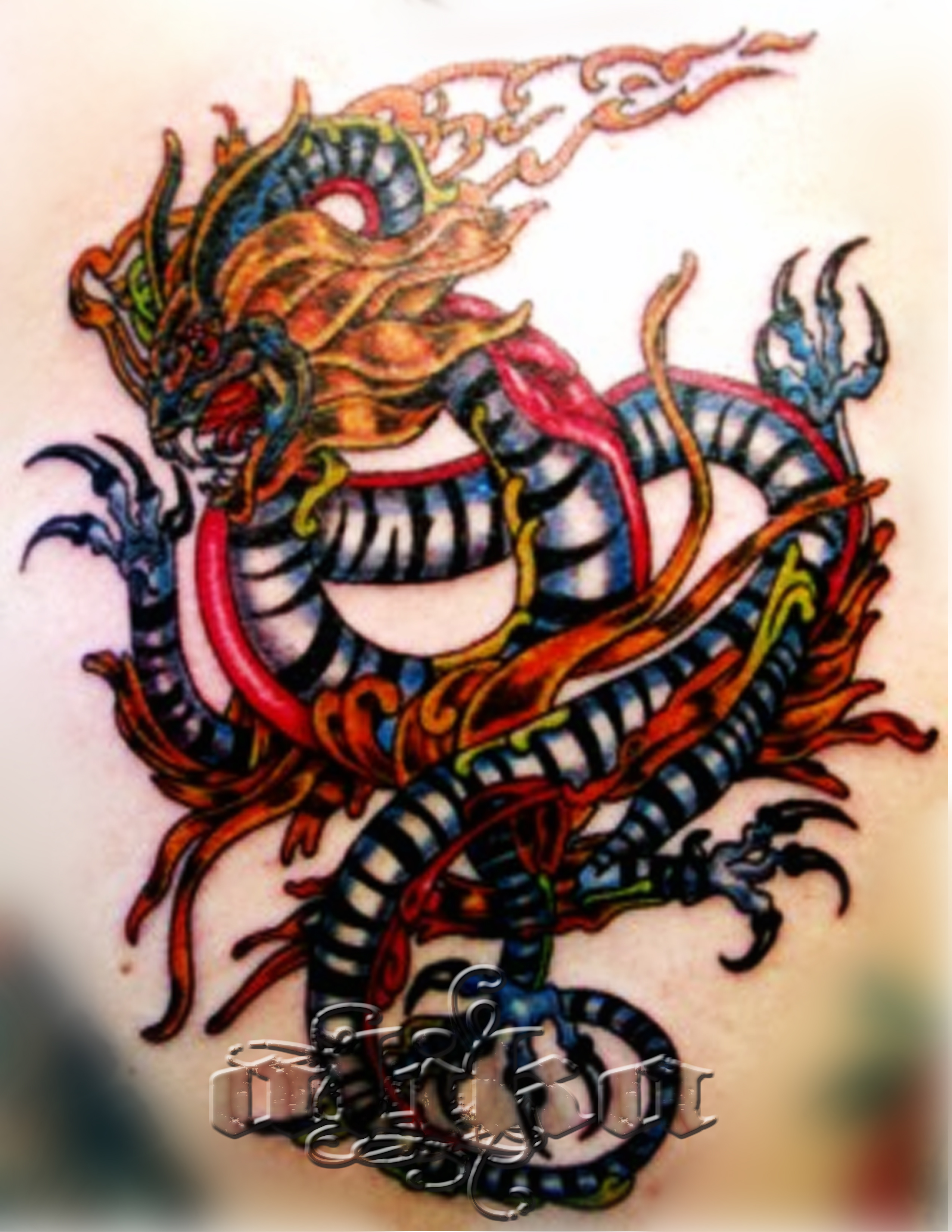 Dragon