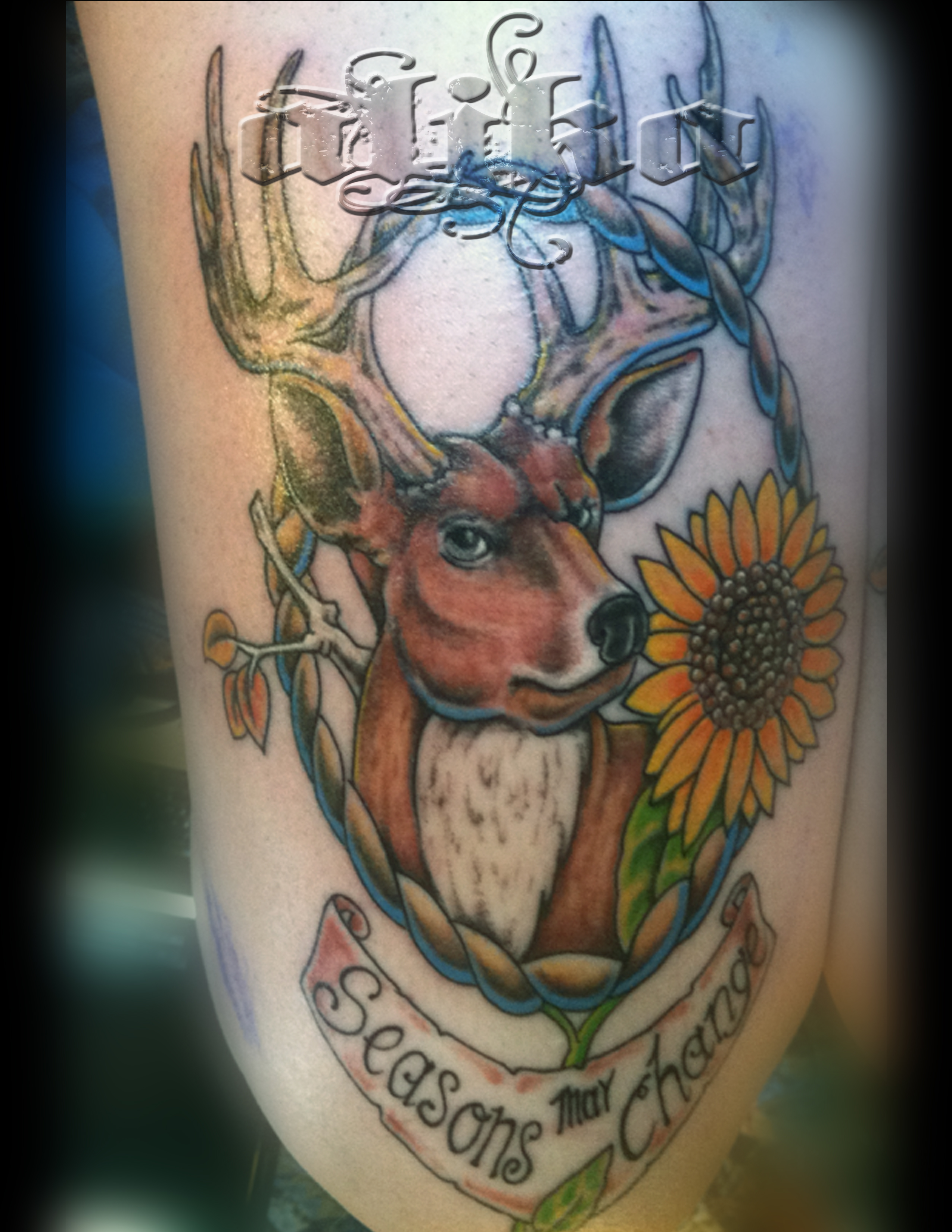 j deer