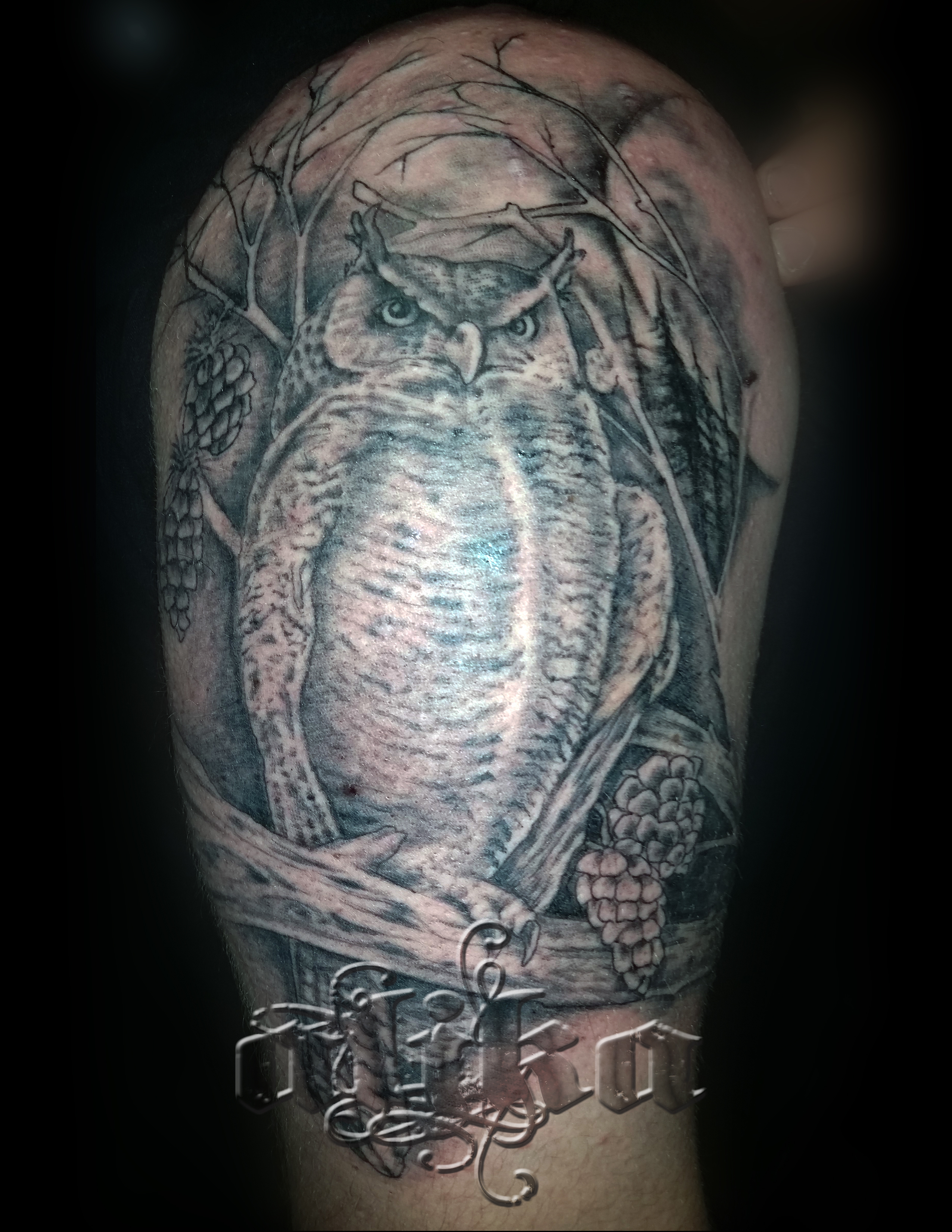 owl2