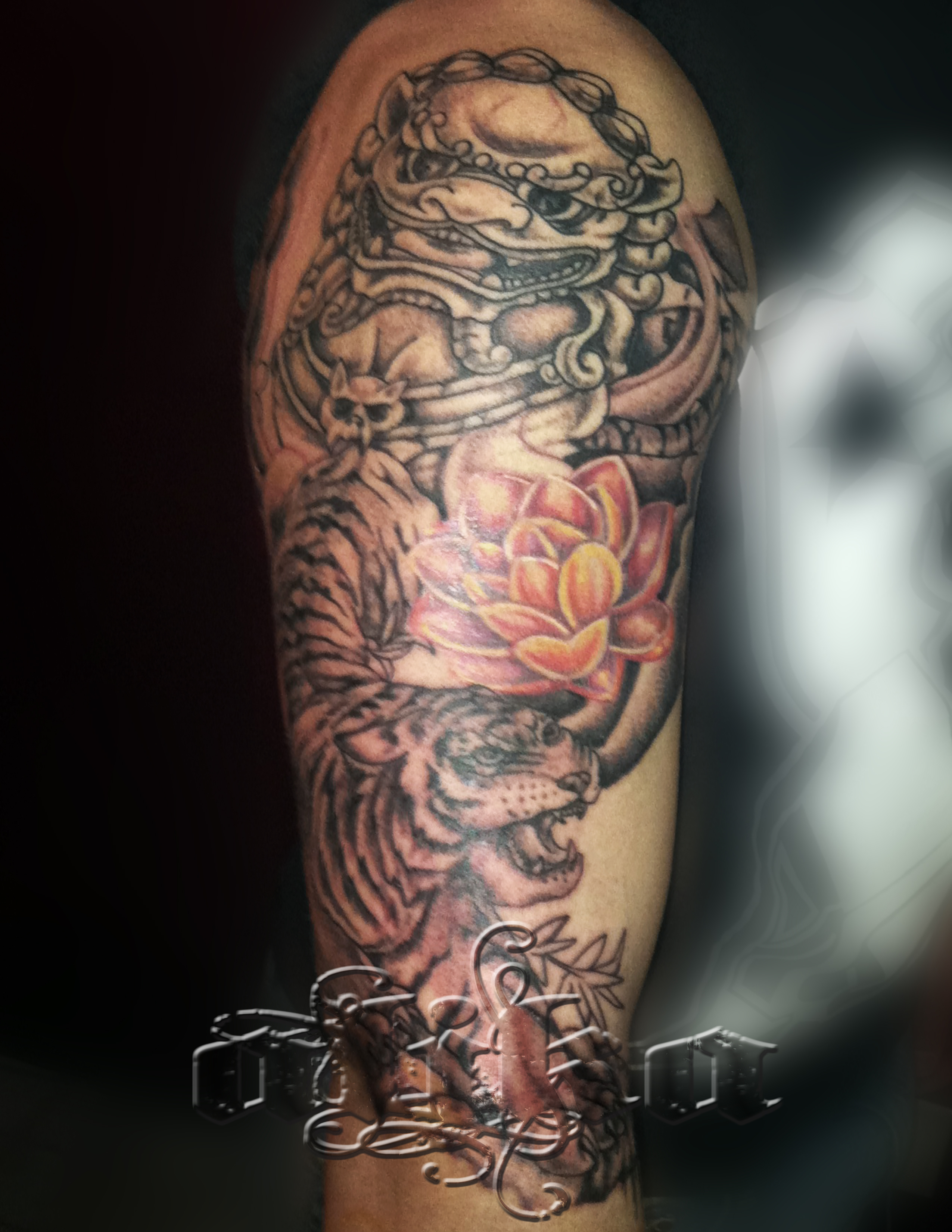 Tiger lotus