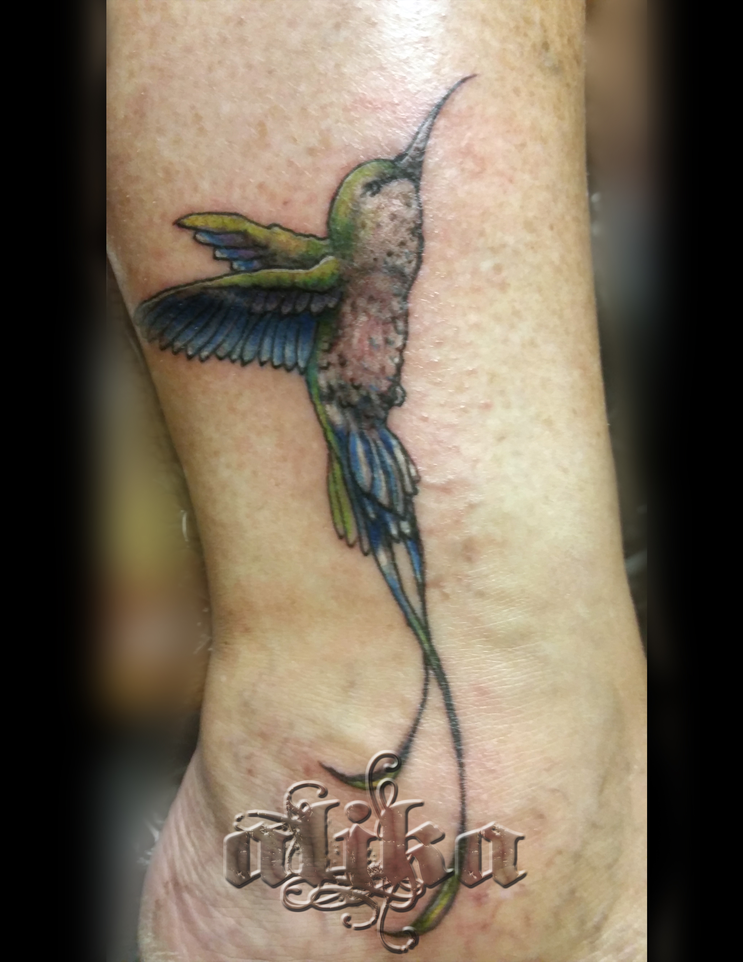 Hummingbird