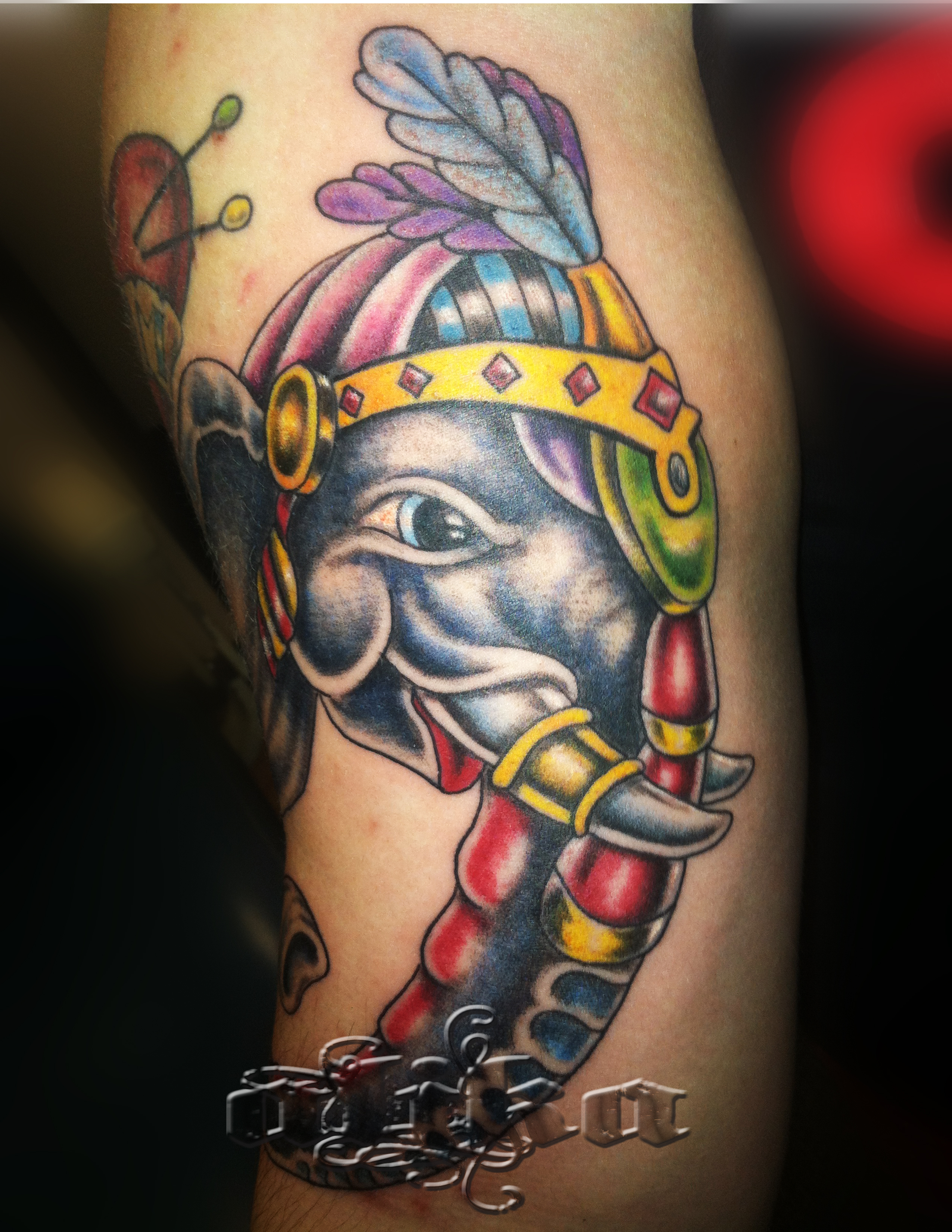 circus