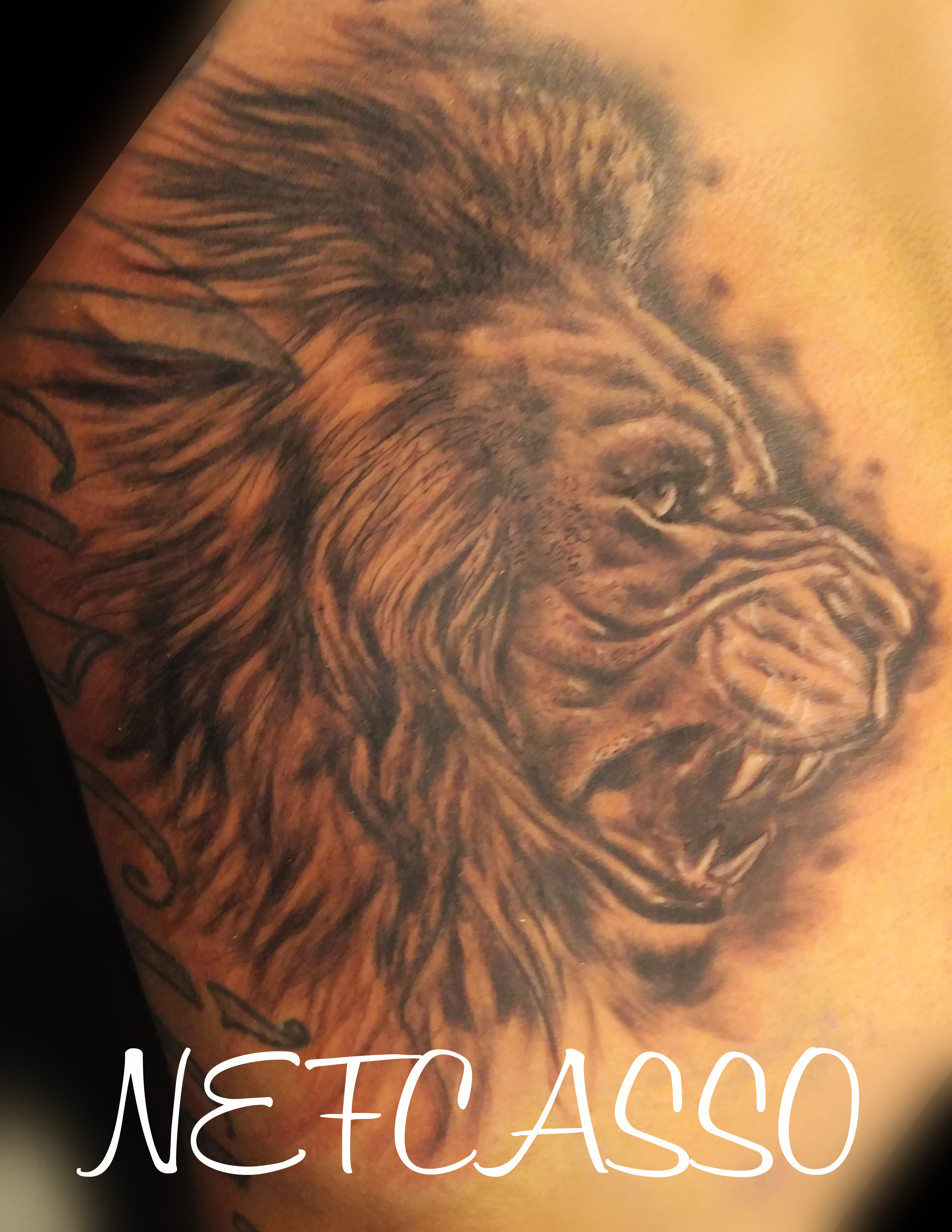 Head lion