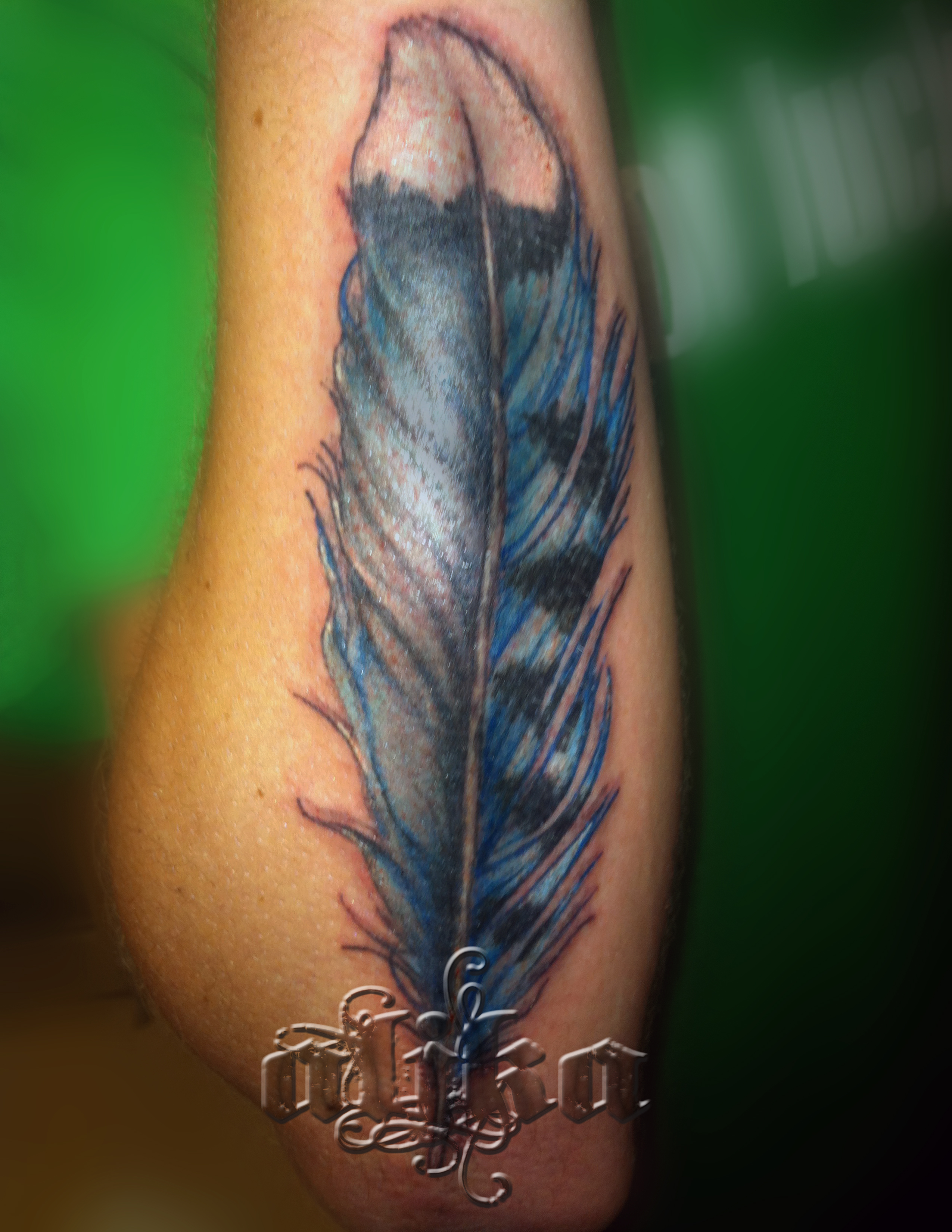 BlueJay