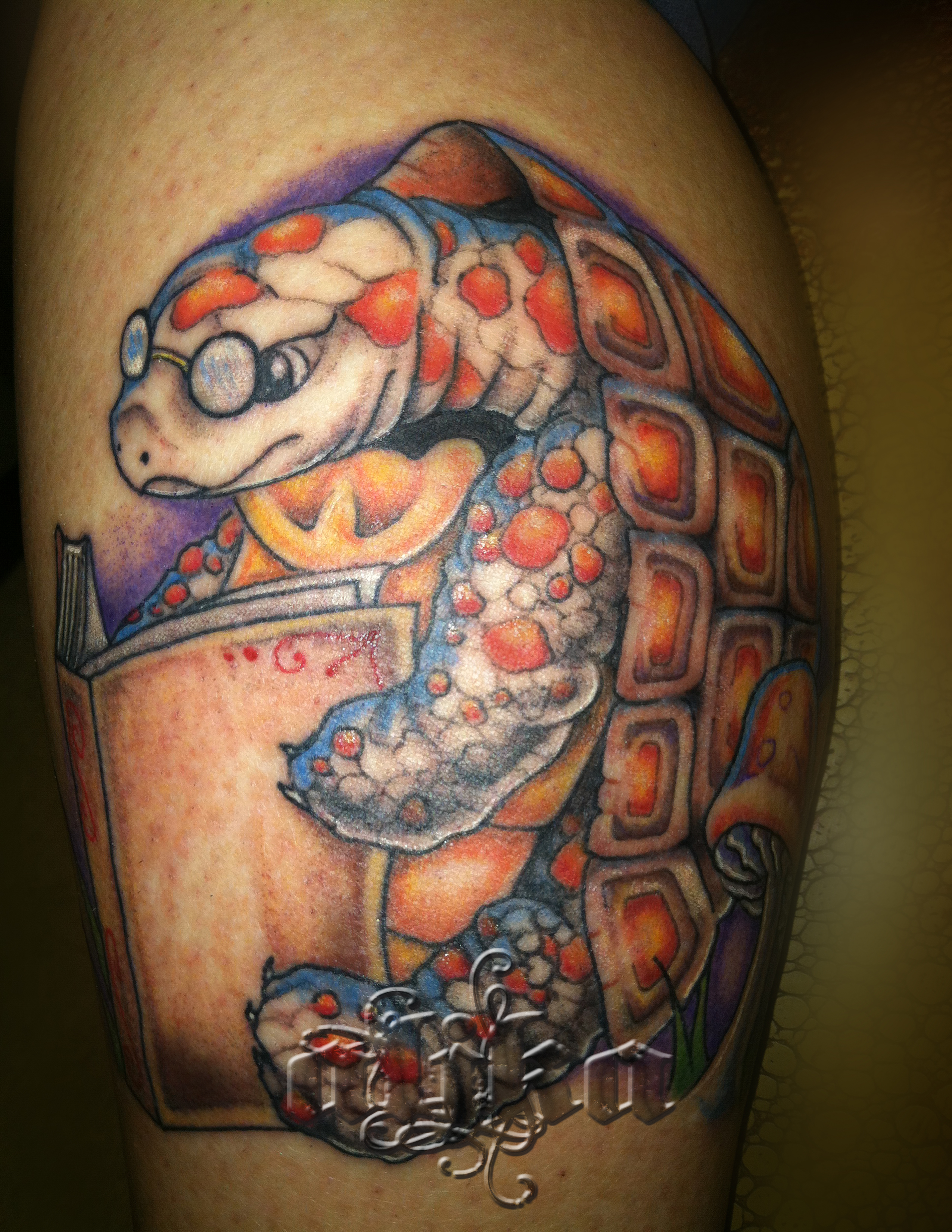 Turtle