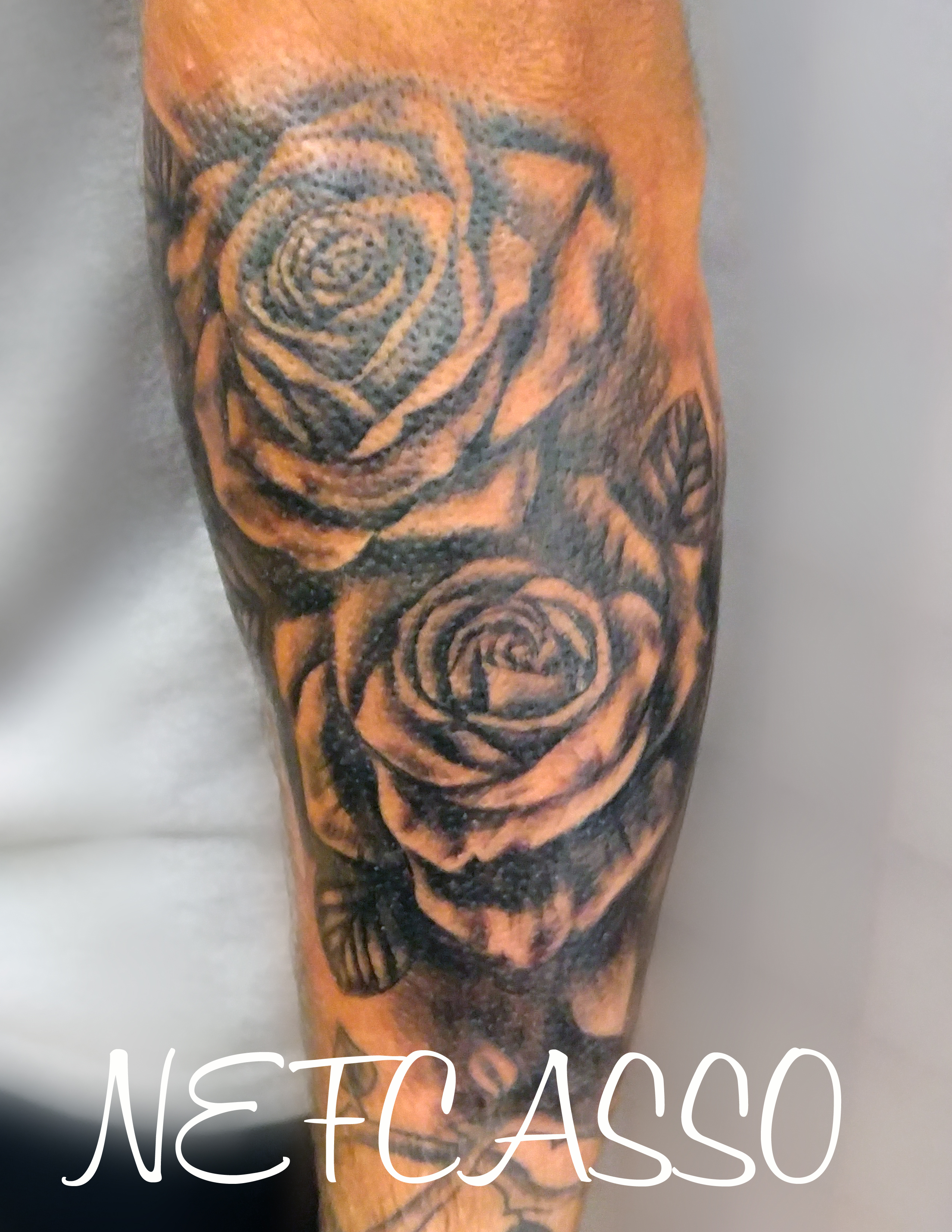 Gw roses