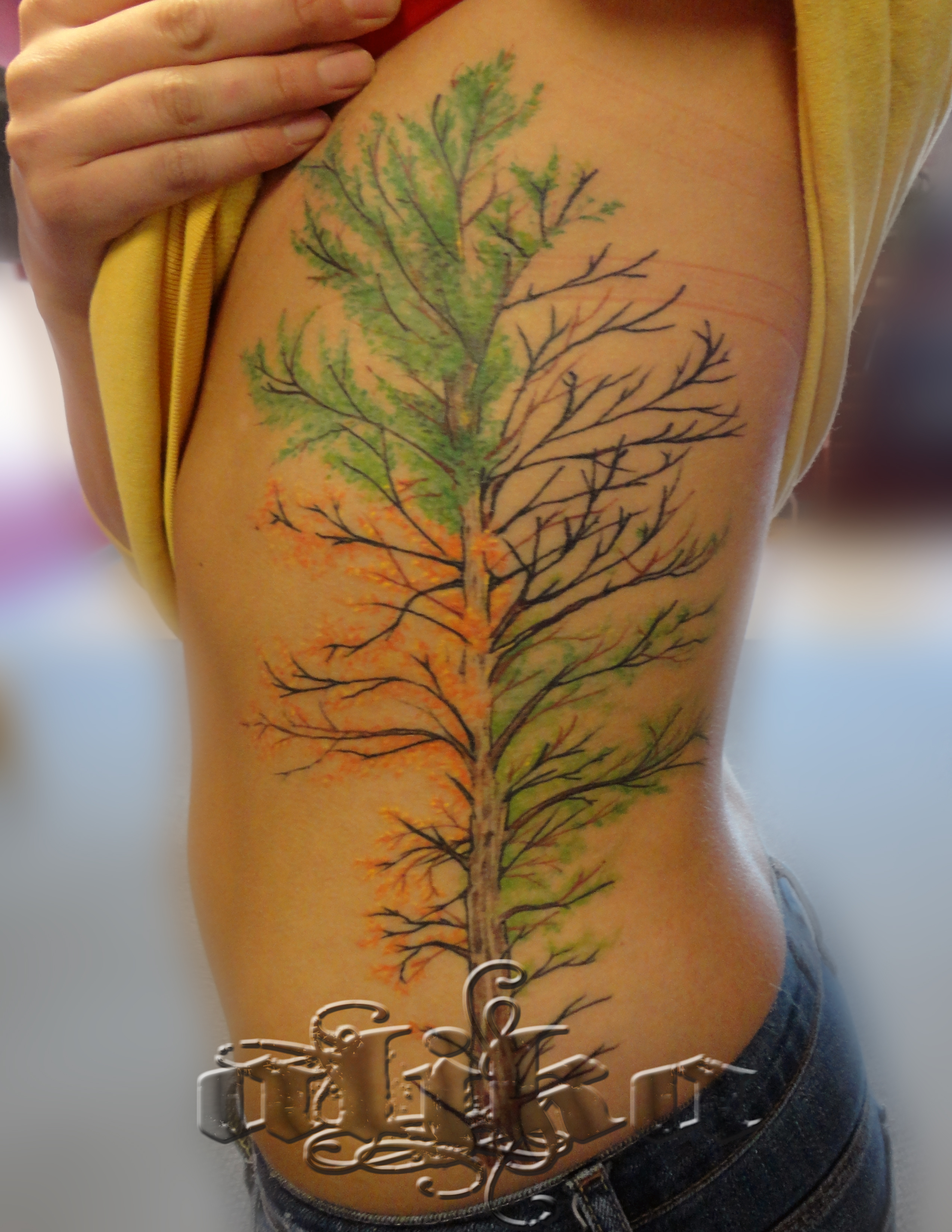 seasons