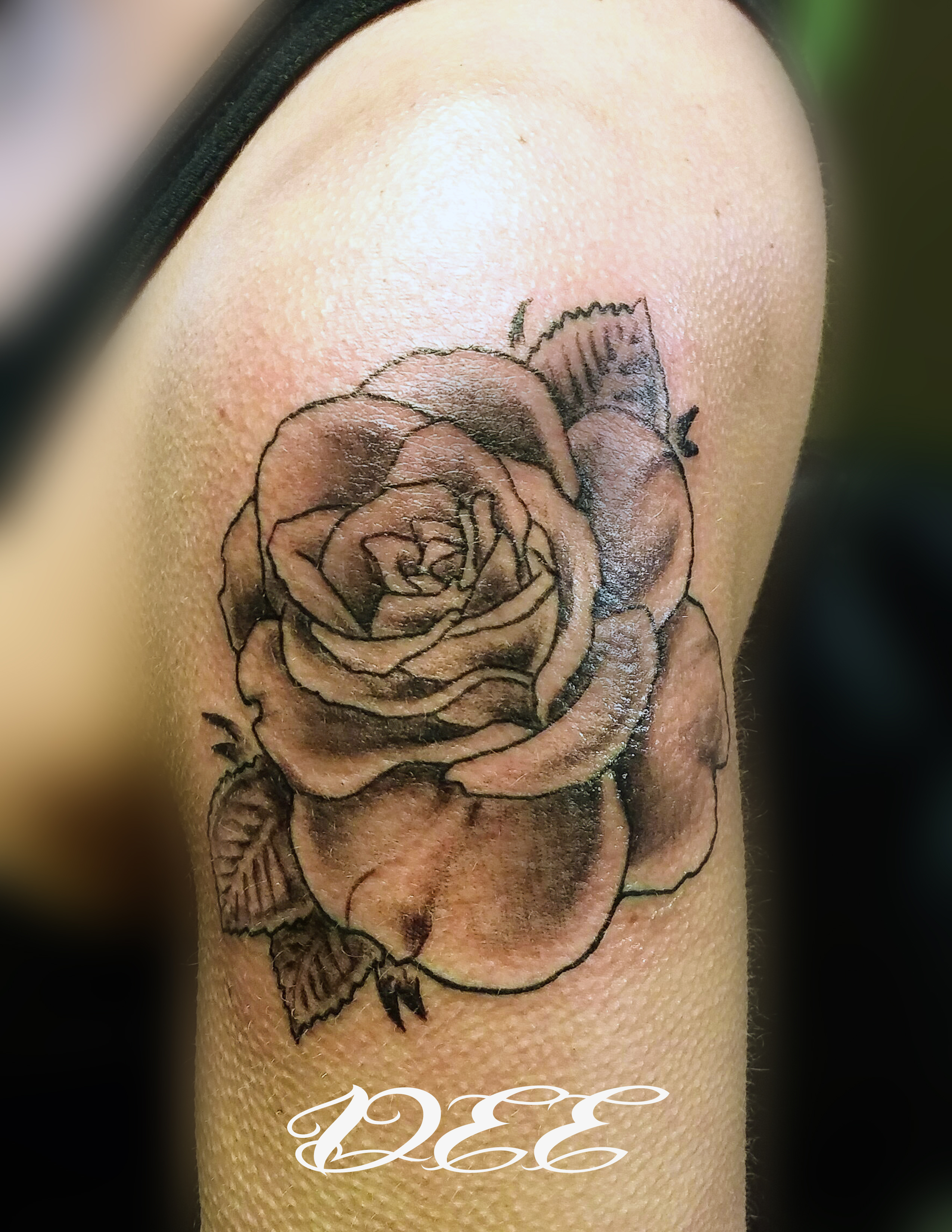Rose